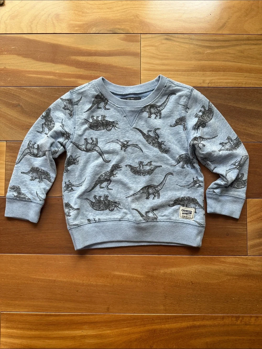OshKosh B'gosh Light Blue Dinosaur Crewneck Sweatshirt 3T
